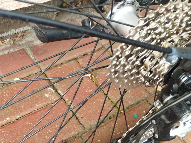 56360529119045899870673318398078269302133715nf48ba4ca1127205555